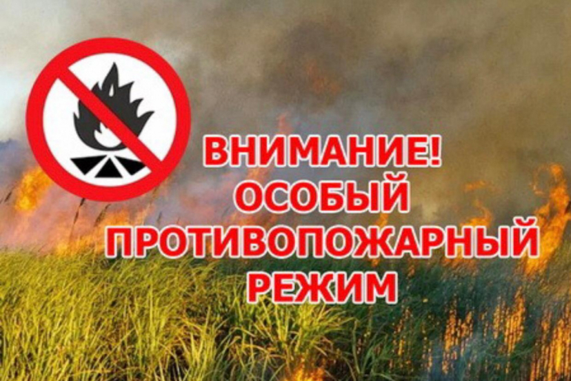 На территории Архангельской области введен особый противопожарный режим.